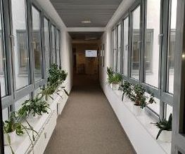 Langer Flurgang links und rechts Fensterfronten mit Blumentöpfen