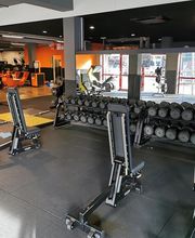 Basic-Fit Haarlem Bernadottelaan - free weight zone
