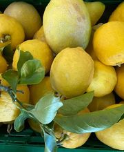 CHRISTEN DELICATESSEN Bild 11