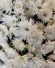 Bricomarché Orval image 19