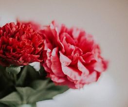 Rieder Fleurs Bild 3