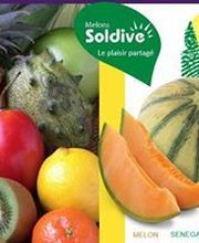 SOLDIVE SCA image 2