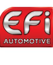 EFI Automotive image 4