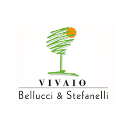Vivaio Bellucci e Stefanelli logo