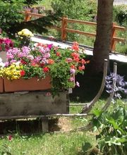 Hotel Kristall Saphir Superior Bild 1