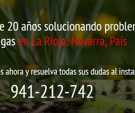 tratamientos_control_telefono.png