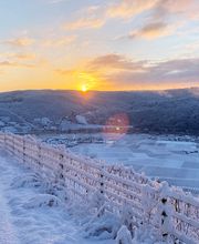 Weingut Heinz Dehren Bild 3