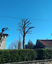 EURL Berteau image 12