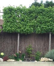 Les Serres Du Jardiniste image 4