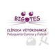 logoclinicabigotes.jpg
