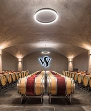 Weingut Seewer – Damian & Fabienne Seewer AG Bild 6