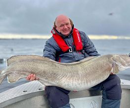 Tackle Dealer Angelshop online