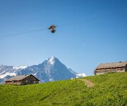 First Glider Bild 1