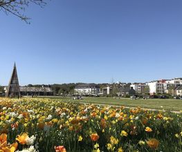 Mairie - Landerneau image 10