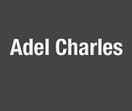 Adel Charles image 1