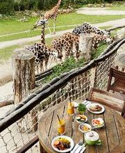 Kiwara-Lodge Bild 10