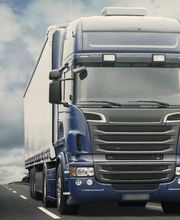 Medatlantic imagen 6