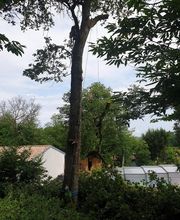 Lacour Marco image 5