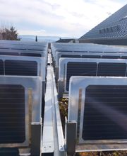 Vertikal Gründach PV1