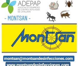 montsan-lleida.jpg