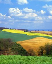 Longworth Immobilien Bild 7