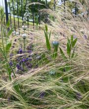 zehnder-garten GmbH Bild 10