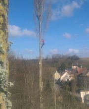 Arboteam SARL image 3