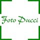 Foto Pucci Sagl