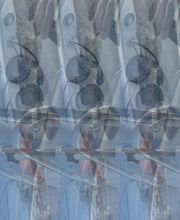 Mobile Bootsfahrschule Rostock Bild 11