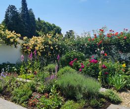 BRÜHWILER-GARTENBAU, BAUMPFLEGE Bild 5