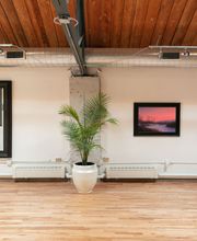 Gallery 1261 image 15