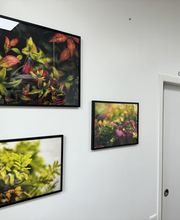 Cabinet Vétérinaire de Collonge-Bellerive Sàrl Bild 13