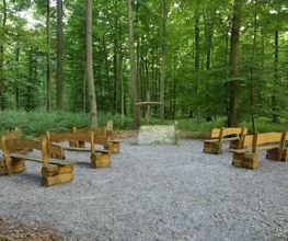 FriedWald Borchen-Nonnenbusch Bild 7