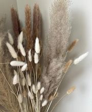 Marine Rocquemont image 5