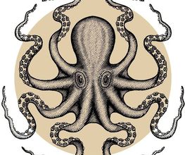 L'octopus image 3