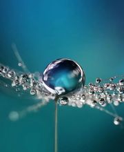 Gippa Energie Genève SA Bild 2