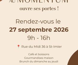 AU MOMENTUM Siggen Bild 9