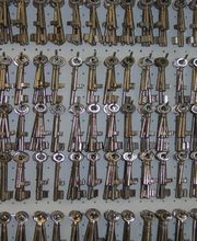 Straubhaar Junior Bild 1