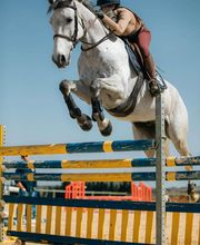 Hipica la melgosa imagen 4