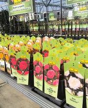 Salles de bains & sanitaires HORNBACH Villeneuve Bild 11