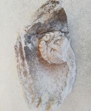 Art de Bâtir image 17