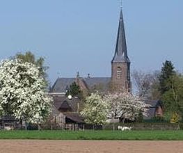 Lohnsteuerhilfe HILO e.V. Weeze Bild 1