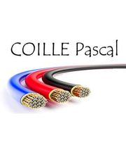 Coille Pascal image 1