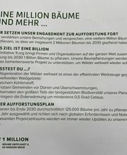 Come to You | Friseurmeisterin Silke Maus Bild 9