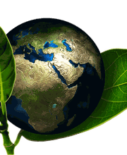 R&R MULTI SERVICES SÀRL Bild 1