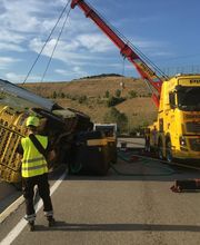 Pietri Poids Lourds image 5