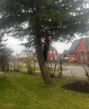 HDS Hausmeisterdienste Falko Stange Bild 1