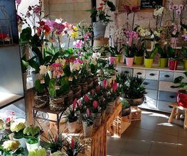 Espace Fleurs image 17