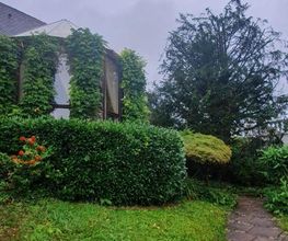Garten- und Landschaftspflege Ulmann Bild 1