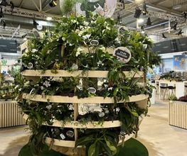 Blumen Hermes - Blumenladen und Eventfloristik in Tönisvorst, Düsseldorf und Umgebung Bild 14
